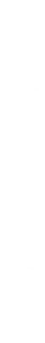 私たちについて